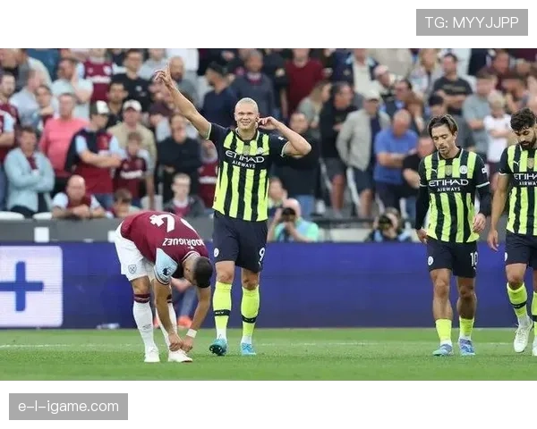 数据分析 _ 哈兰德“金靴”背后的效率与体系加成探秘